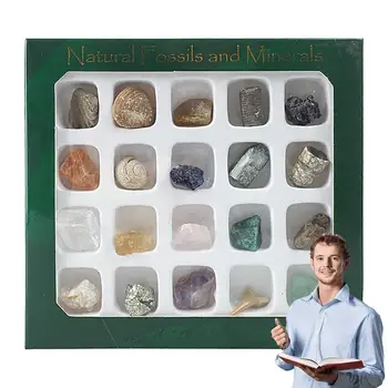  Mineralų identifikavimo rinkinys Roko mokslo rinkinys 20 vnt Mineralų kolekcija Geologija Mokomoji medžiaga Uolienų pavyzdžiai studijoms